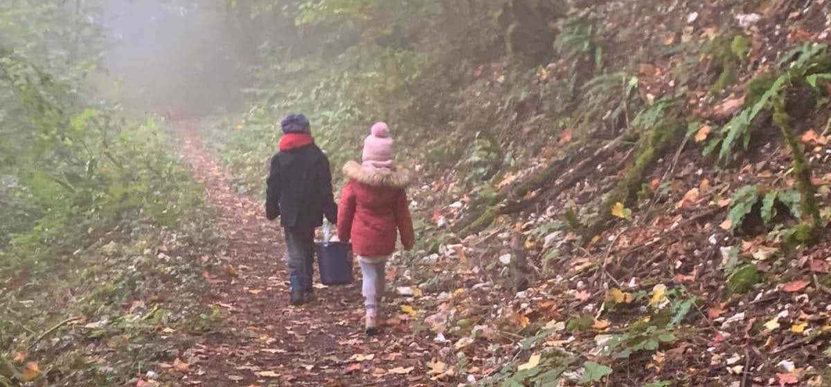 Enfant en promenade en forêt lors d'une sortie périscolaire