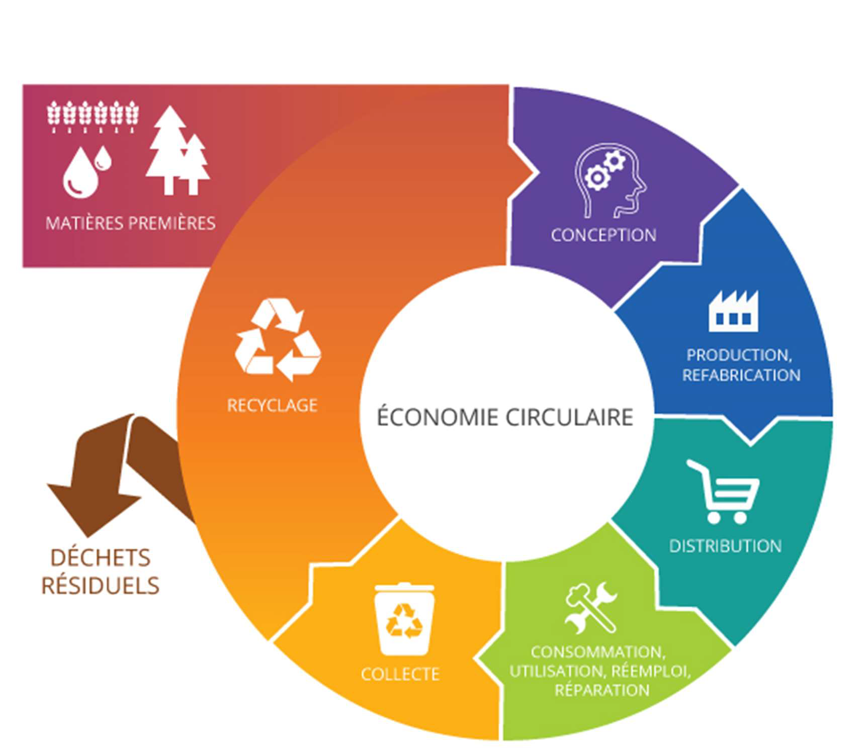 economie circulaire graphique