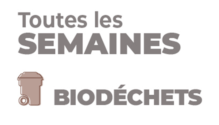 CCS-collecte-1sem-BIODECHETS